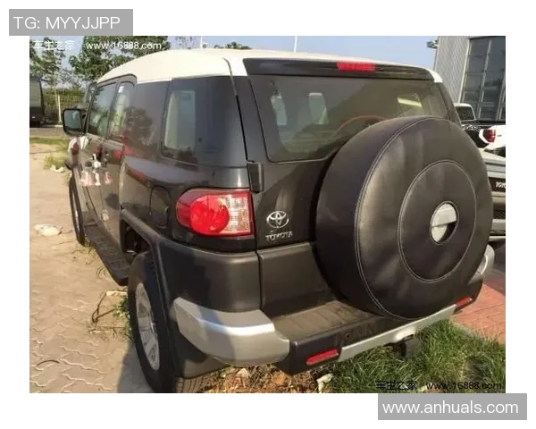 武汉排球队在洲际杯积分榜上以62分稳居第一名，展现强劲实力