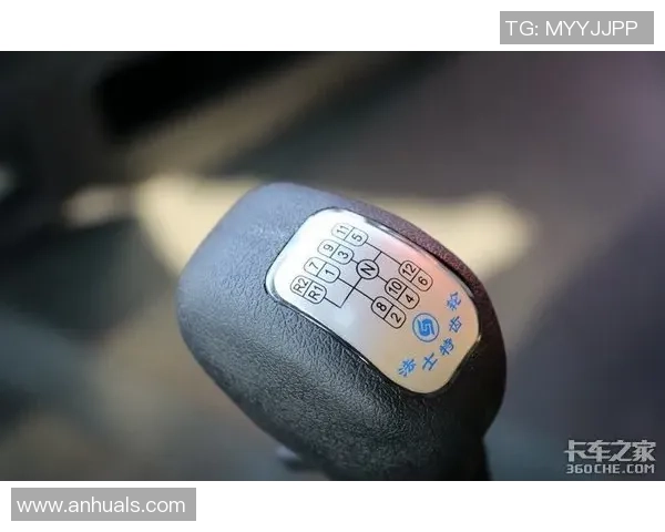 滑板装备选购：专业服装推荐