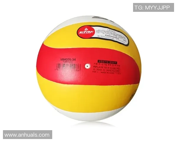 排球装备选购：球拍推荐